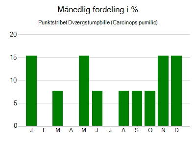 Punktstribet Dværgstumpbille - månedlig fordeling