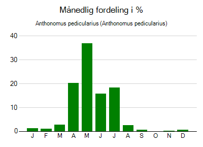 Anthonomus pedicularius - månedlig fordeling