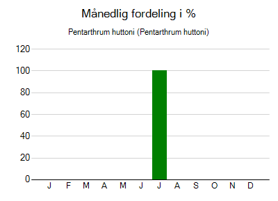 Pentarthrum huttoni - månedlig fordeling