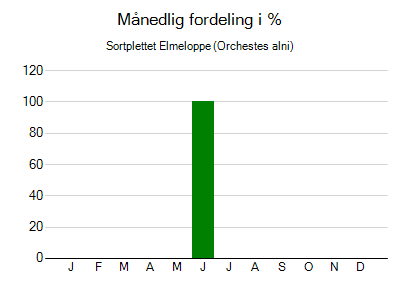 Sortplettet Elmeloppe - månedlig fordeling