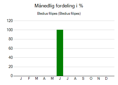 Bledius filipes - månedlig fordeling