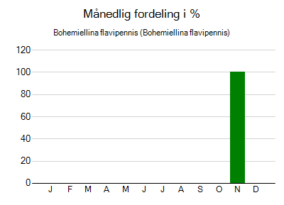 Bohemiellina flavipennis - månedlig fordeling