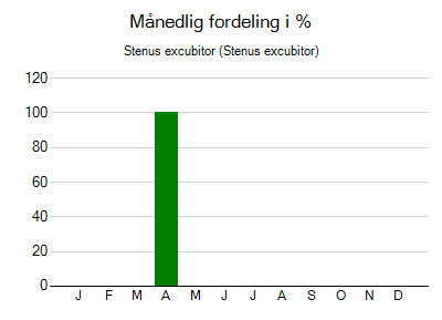 Stenus excubitor - månedlig fordeling