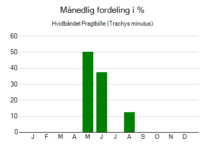 Hvidbåndet Pragtbille - månedlig fordeling