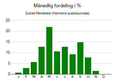 Gulrød Mariehøne - månedlig fordeling