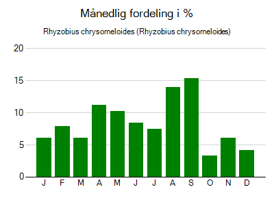 Rhyzobius chrysomeloides - månedlig fordeling