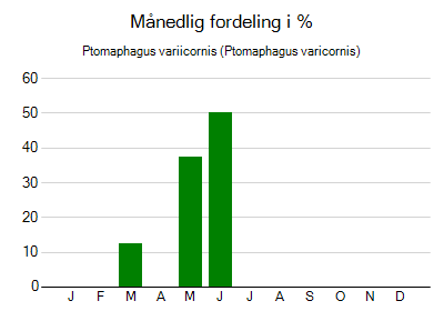 Ptomaphagus variicornis - månedlig fordeling