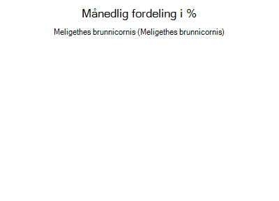 Meligethes brunnicornis - månedlig fordeling