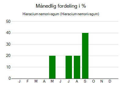 Hieracium nemorivagum - månedlig fordeling