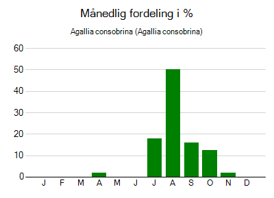 Agallia consobrina - månedlig fordeling