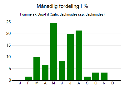 Pommersk Dug-Pil - månedlig fordeling