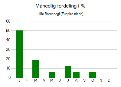 Lille Boresnegl - månedlig fordeling