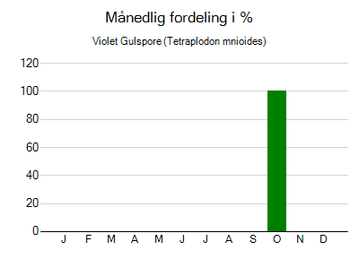 Violet Gulspore - månedlig fordeling