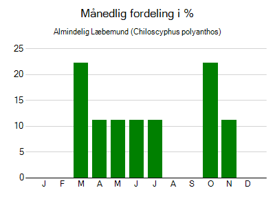 Almindelig Læbemund - månedlig fordeling