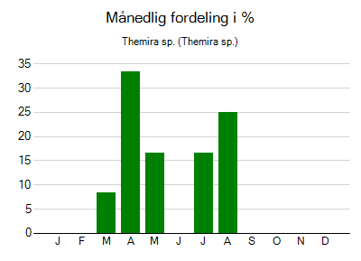 Themira sp. - månedlig fordeling