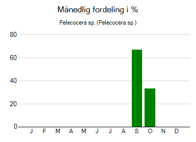 Pelecocera sp. - månedlig fordeling