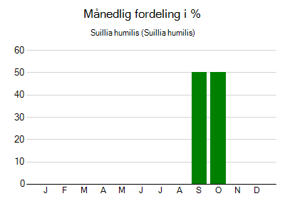 Suillia humilis - månedlig fordeling