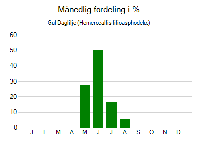 Gul Daglilje - månedlig fordeling