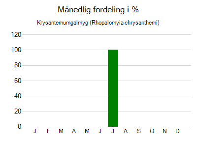 Krysantemumgalmyg - månedlig fordeling