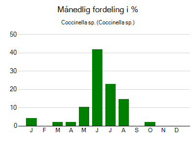 Coccinella sp. - månedlig fordeling