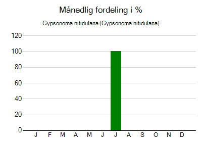 Gypsonoma nitidulana - månedlig fordeling