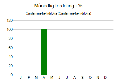 Cardamine bellidifolia - månedlig fordeling