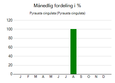 Pyrausta cingulata - månedlig fordeling