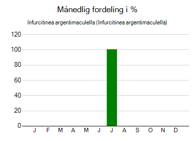 Infurcitinea argentimaculella - månedlig fordeling