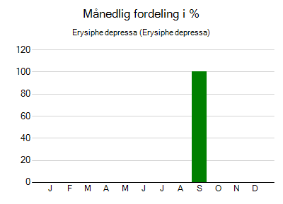 Erysiphe depressa - månedlig fordeling