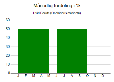 Hvid Doride - månedlig fordeling