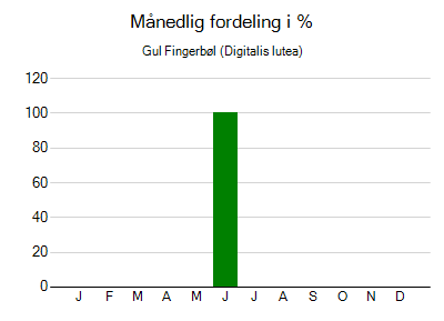 Gul Fingerbøl - månedlig fordeling