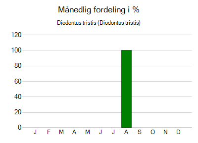 Diodontus tristis - månedlig fordeling