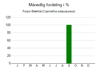 Purpur-Blækhat - månedlig fordeling