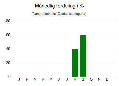 Tamariskcikade - månedlig fordeling