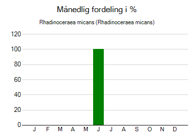 Rhadinoceraea micans - månedlig fordeling