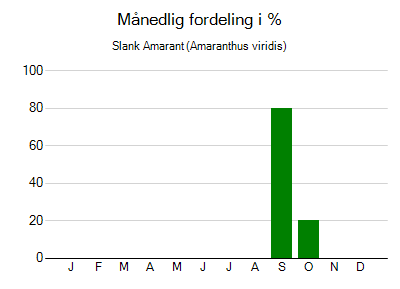 Slank Amarant - månedlig fordeling