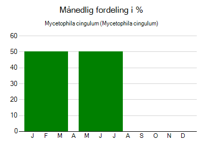 Mycetophila cingulum - månedlig fordeling