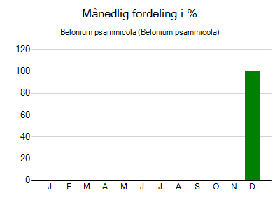 Belonium psammicola - månedlig fordeling