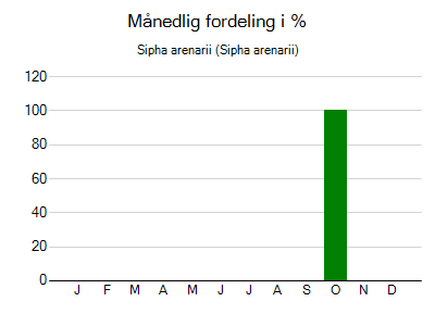 Sipha arenarii - månedlig fordeling