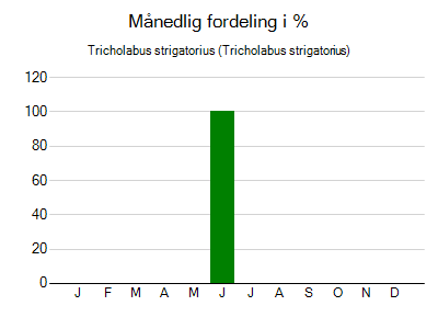 Tricholabus strigatorius - månedlig fordeling