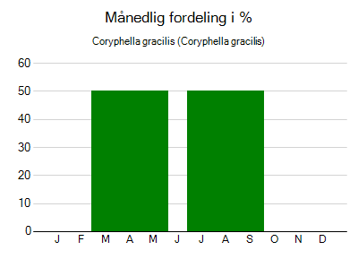 Coryphella gracilis - månedlig fordeling