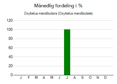 Oxybelus mandibularis - månedlig fordeling
