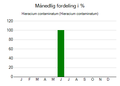 Hieracium contaminatum - månedlig fordeling