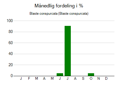 Blaste conspurcata - månedlig fordeling