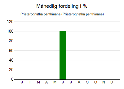 Pristerognatha penthinana - månedlig fordeling