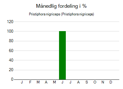 Pristiphora nigriceps - månedlig fordeling