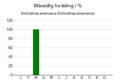 Echinothrips americanus - månedlig fordeling