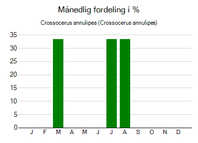 Crossocerus annulipes - månedlig fordeling