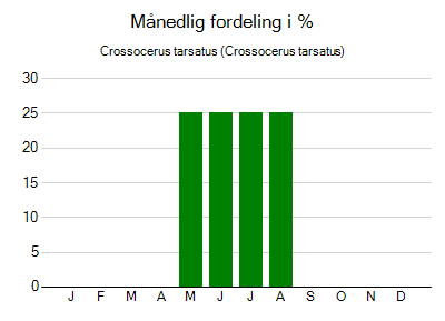 Crossocerus tarsatus - månedlig fordeling