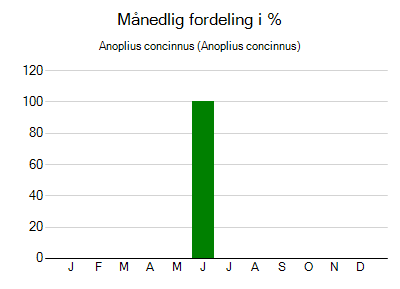 Anoplius concinnus - månedlig fordeling